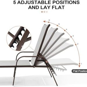 Crestlive Products Outdoor Chaise Lounge Chair,5-Position Pool Lounge Chairs with Armrests Sunbathing Recliner for Patio, Beach, Deck, Yard (2PC Gray)