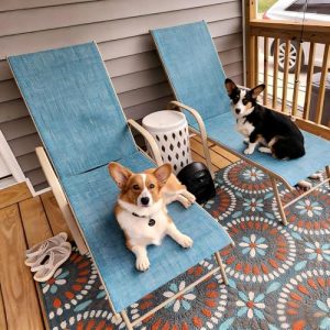 Crestlive Products Chaise Lounge Chair Outdoor with Armrests, Pool Lounge Chairs Set of 2, Aluminum Adjustable 5 Positions Sun Tanning Lounger for Patio, Poolside, Yard, Deck, Backyard (Blue)
